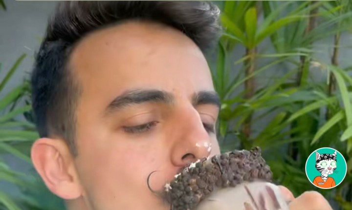 Musta volta a Floripa para conhecer a Blessy Delícias