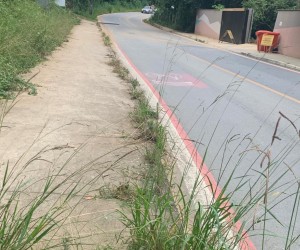 Buraco é tapado mais uma vez e o matagal segue....