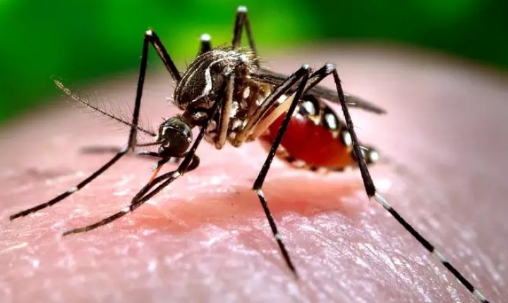 Prefeito decretou situação de emergência por conta da epidemia da doença 