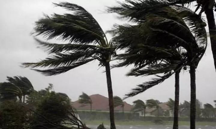 Defesa civil alerta para ventos fortes em Florianópolis