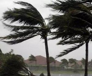 Defesa civil alerta para ventos fortes em Florianópolis