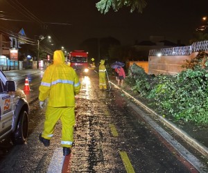 Após chuvas, é hora de colocar a cidade em ordem