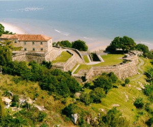 Beleza ignorada | De olho na fortuna | Ciganos no dicionário | ACESSE AGORA!