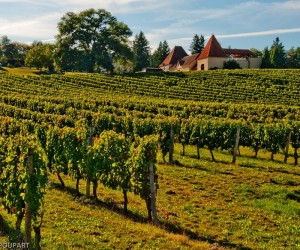 Conheça o trio do Sud-Quest