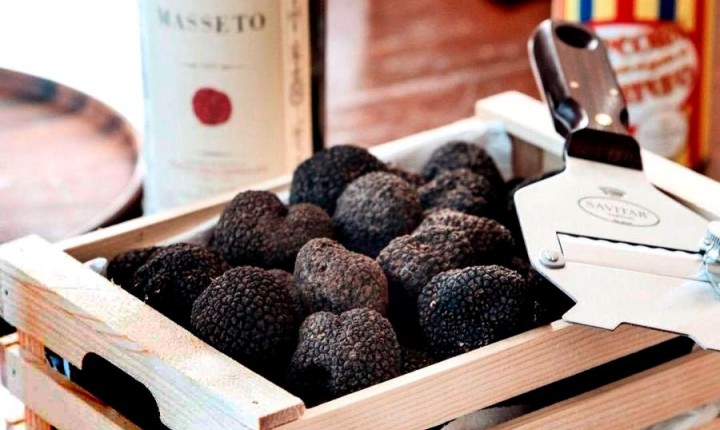 Você sabe o que são as trufas utilizadas na gastronomia?