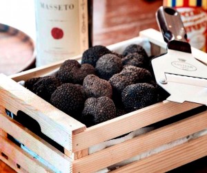 Você sabe o que são as trufas utilizadas na gastronomia?