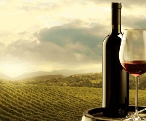 Road Show: Vinhos de Portugal chegam à Florianópolis 