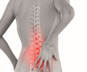 Osteoporose pode ser prevenida. Não perca tempo!