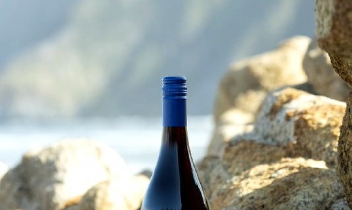 Pinot Noir Day: Seleção de rótulos com a uva mais famosa do mundo