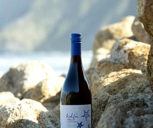 Pinot Noir Day: Seleção de rótulos com a uva mais famosa do mundo