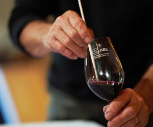 Evento exibe a paixão por vinhos nacionais
