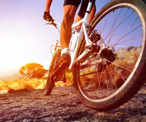 Dia do Ciclista: Prepare-se para pedalar