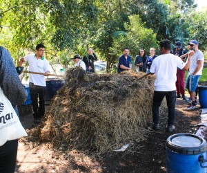 Pátios de compostagem remunerados e descentralizados são realidade na Capital