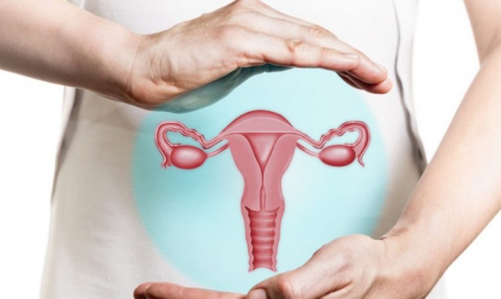  Cânceres ginecológicos atingem 30 mil mulheres todos os anos