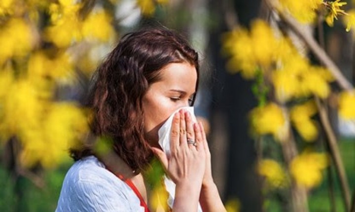 Alergias na primavera: previna as doenças comuns nesta época