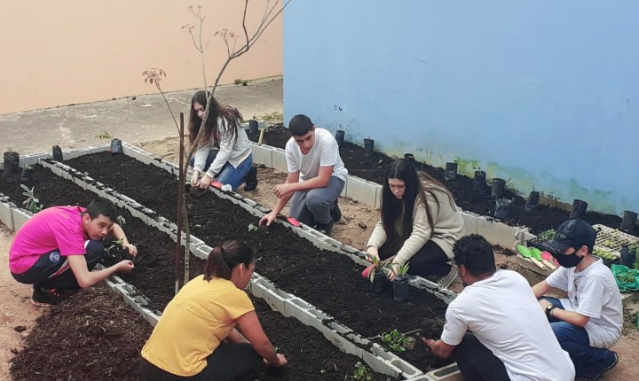 Hortas aproximam moradores à agricultura urbana