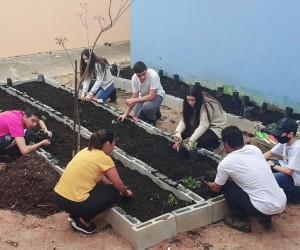 Hortas aproximam moradores à agricultura urbana