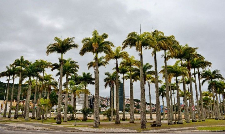 Conselhos da Capital terão retorno da Prefeitura sobre projetos propostos