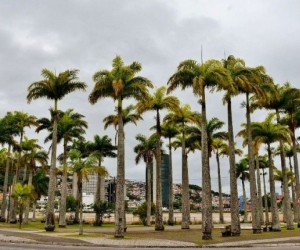 Conselhos da Capital terão retorno da Prefeitura sobre projetos propostos