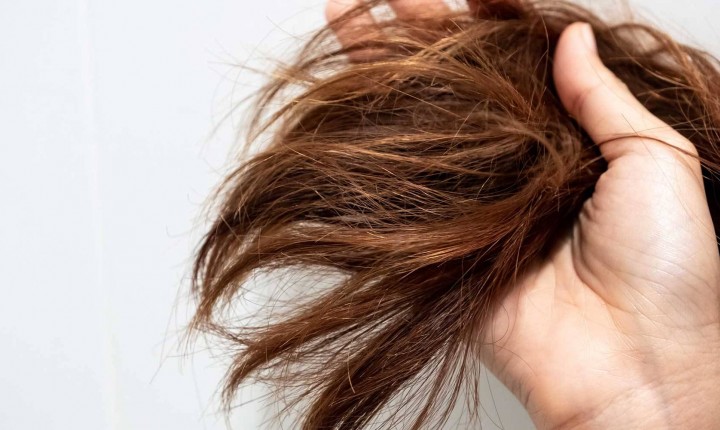 Cabelo poroso: saiba o que é e como tratá-lo