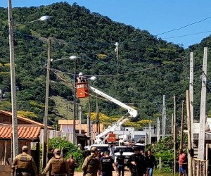 Obras em área de preservação são demolidas no Ribeirão da Ilha
