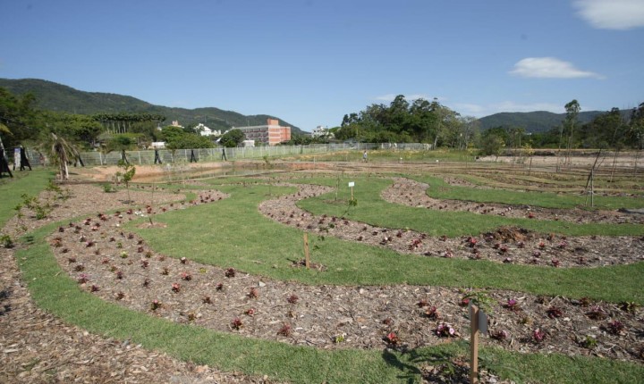 Arboreto Fritz Müller é inaugurado no Jardim Botânico