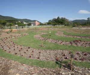 Arboreto Fritz Müller é inaugurado no Jardim Botânico