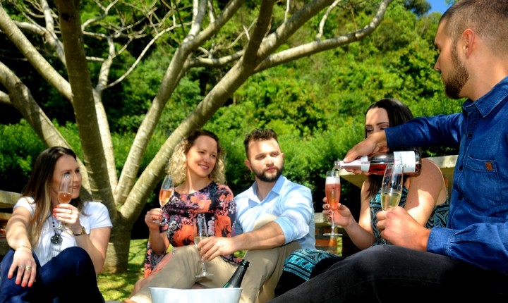 Jazz Day no jardim da vinícola