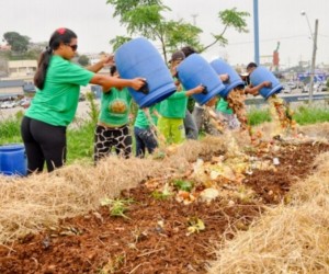Floripa está dois anos à frente nas metas para valorização de resíduos orgânicos