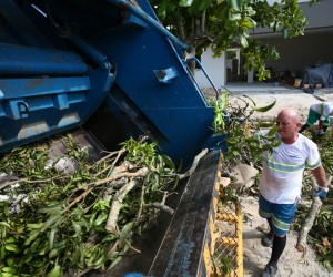 Meio Ambiente apresenta calendário da seletiva de verdes para 2023