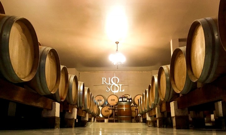 Cresce o interesse pelo vinho brasileiro