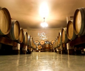 Cresce o interesse pelo vinho brasileiro