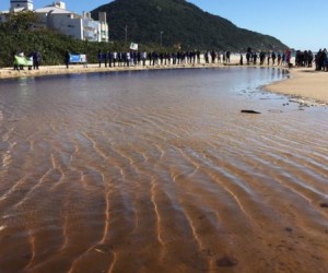 Rio do Brás fica em péssimas condições após as chuvas