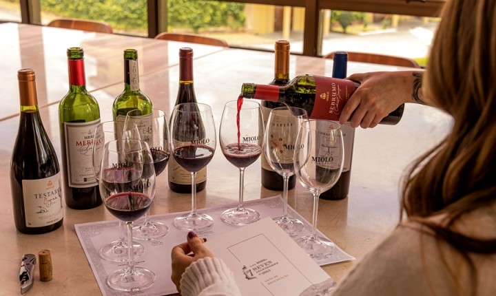 Experiências na Serra e Campanha Gaúcha são lançadas pela Miolo