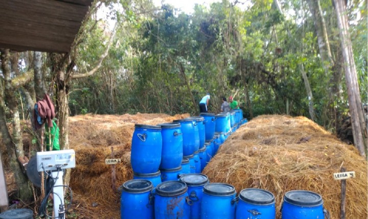 Mais de 7,5 mil toneladas de resíduos orgânicos foram recolhidas em 2022