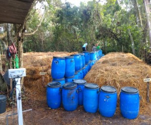 Mais de 7,5 mil toneladas de resíduos orgânicos foram recolhidas em 2022