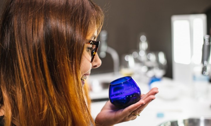 Degustação de vinhos e azeites é atração em vinícola do RS