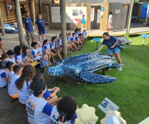 Crianças aprendem consciência ecológica por meio do Projeto Tamar