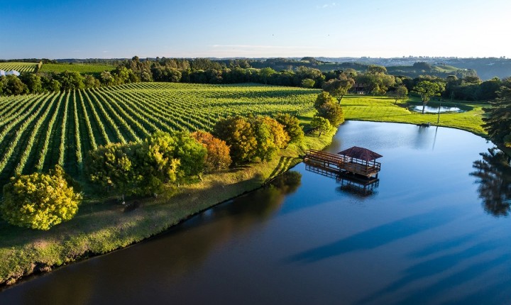 Vinícola completa 92 anos, e em expansão