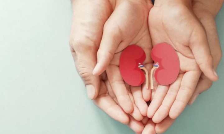 As principais dúvidas e respostas sobre a saúde renal