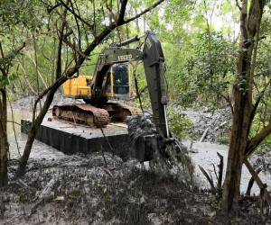 Limpeza no Rio Tavares é liberada pela Justiça Federal 
