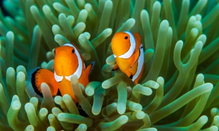 Floripa tem programação cultural intensa neste final de semana