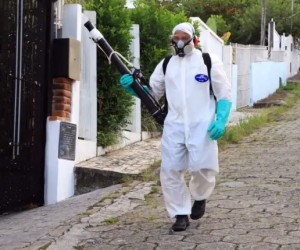 Inseticida será aplicado no Centro da Capital nesta quinta-feira