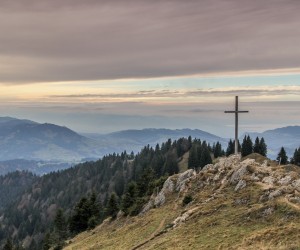 Feliz Páscoa... Bom Renascimento! 