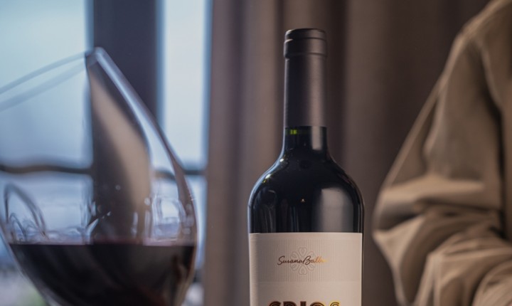 Malbec fez fama na Argentina, mas se originou na França