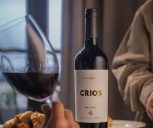 Malbec fez fama na Argentina, mas se originou na França