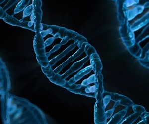 'Não precisamos ser reféns dos nossos genes', diz especialista