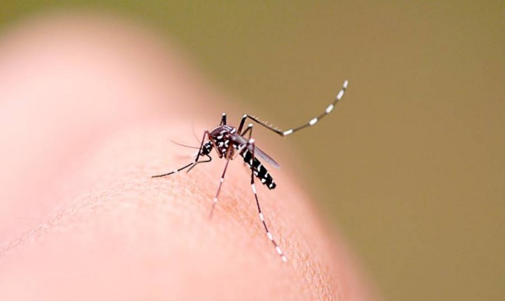 Centros de Saúde têm horário ampliado por conta da dengue