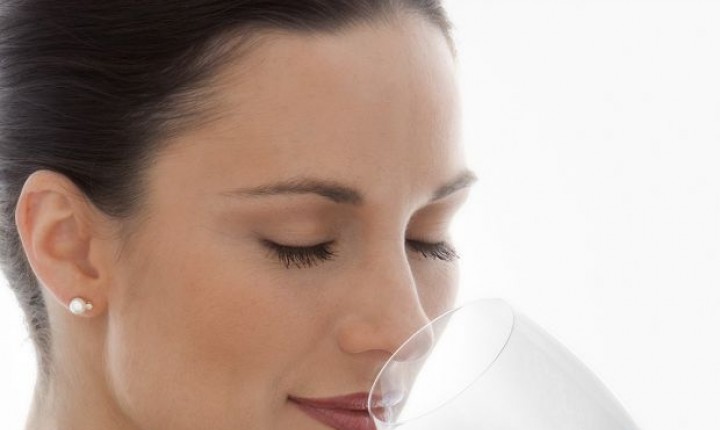 Um guia para quem deseja começar sua jornada no mundo dos vinhos