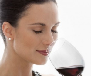 Um guia para quem deseja começar sua jornada no mundo dos vinhos